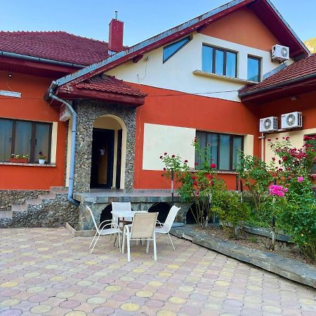Pensiunea Orhideea Băile Herculane Exterior foto