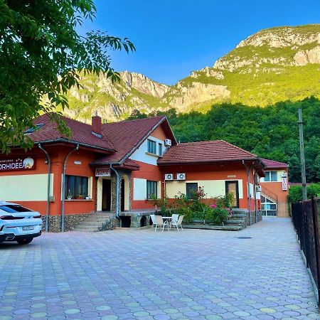Pensiunea Orhideea Băile Herculane Exterior foto