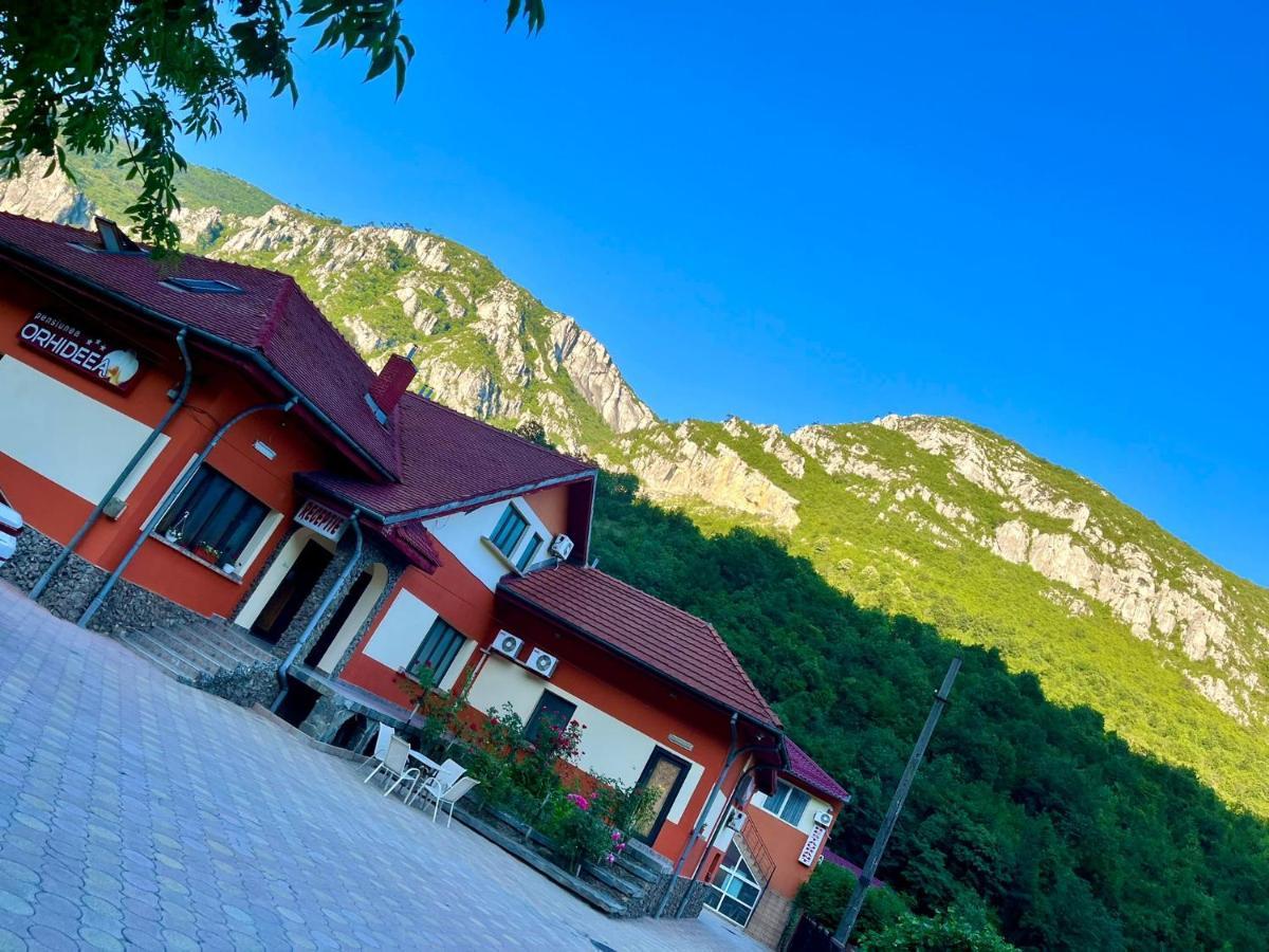 Pensiunea Orhideea Băile Herculane Exterior foto