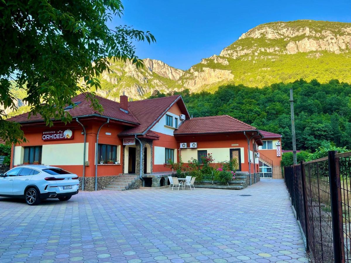 Pensiunea Orhideea Băile Herculane Exterior foto